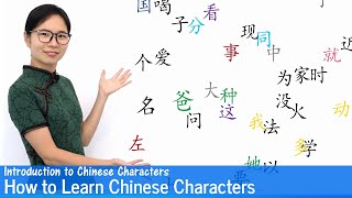 How to Learn Chinese Characters  Introduction to Chinese Characters [upl. by Mathur]