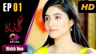 Gunnah  EP 1  Aplus Sara Elahi Shamoon Abbasi Asad Malik  Pakistani Drama  C3M1 [upl. by Faux]