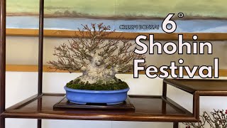 Bonsai Oni  CRESPI BONSAI 6° Shohin Festival [upl. by Aihpos]