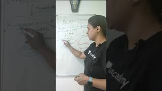 Antisense Therapy  Concept in 1 min with khushboo shortscsir2021NET [upl. by Sucram]