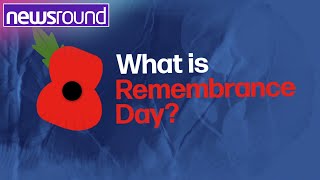 Remembrance Day What is it and why is it important  Newsround [upl. by Tap427]