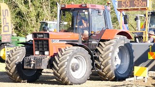 1985 Case IH 1455 XL Tractor Pulling a DeutzFahr 8280 TTV Tractor at Southern Field Days 2024 [upl. by Assillim354]