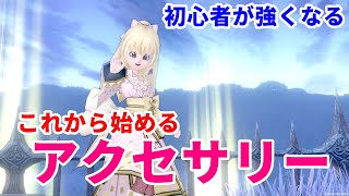 初心者向け私のおすすめアクセサリー【ドラクエ10】てぃあのちいさな冒険日記 [upl. by Dusty607]