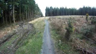 Haldon Forest Mtb Red Route mountain biking part 3 [upl. by Werdna899]