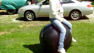 24 inch black hoppity hop ball [upl. by Chas]