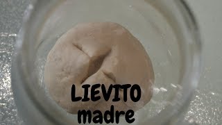 LIEVITO MADRE FATTO IN CASA [upl. by Edva891]