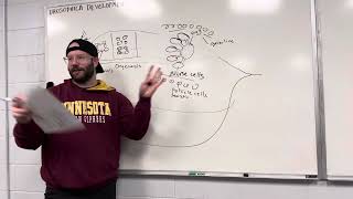 Methods In Synthetic Biology 2024 017 Drosophila Development [upl. by Oidivo]