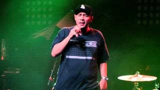 The Expanders  Sensi Addict  Live In Niagara Falls [upl. by Ariahs411]