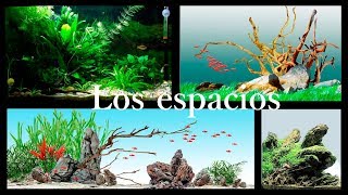 Aquascaping para novatos 1 Los espacios [upl. by Neerhtak]