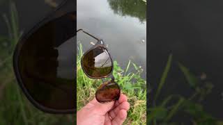 TESTING MY NEW FISHING SHADES  Korda 4th Dimension Shoreditch Glasses Shorts [upl. by Percy711]