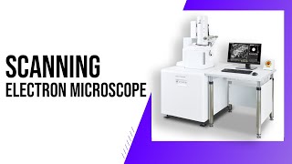 What is quot Scanning Electron Microscope quot   Clear Explain [upl. by Sonnie]