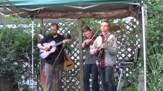 Luke Bulla Trio  Garfields Blackberry Blossom [upl. by Britney]