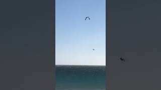 Kitesurfer flies away with his kite… [upl. by Esaj]