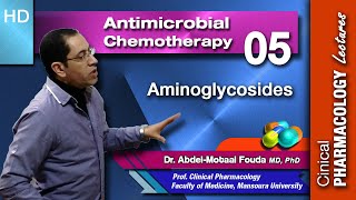 Antimicrobial Chemotherapy Ar Lecture 05 Aminoglycosides [upl. by Johm374]