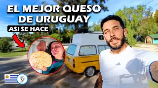 🧀Quesería artesanal en URUGUAY🇺🇾  conocemos el proceso del queso COLONIA [upl. by Konstanze20]