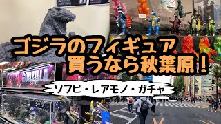 【ソフビ】ゴジラのフィギュア買うなら秋葉原！買える場所【ショップ紹介】 [upl. by Anniala]