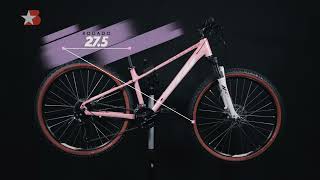 KTM Bikes Penny Lane 271 [upl. by Joeann310]