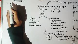 Cholestatic Syndromes jaudice liverpathology16 liverdisorders pathology robbins jaundice [upl. by Lester]