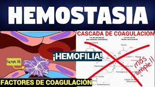 TODO SOBRE HEMOSTASIA Y CASCADA DE COAGULACIÓN 🌊🔴 Súper fácil [upl. by Nylavad45]