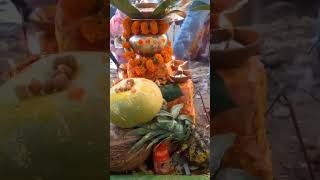 chathpuja youtubeshorts likeandsubscribe vratchathpuja gkp [upl. by Schatz239]