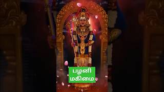 பழனி மகிமை🙏 status shorts shortsfeed murugan god முருகா tamil [upl. by Manvell908]