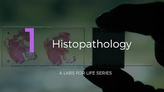 Histopathology [upl. by Wenonah]