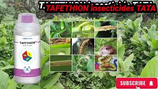 Tafethion insecticide TATA Ethion 50� [upl. by Hteboj]