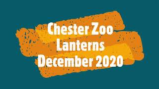 Chester Zoo Lanterns December 2020 [upl. by Sorensen561]