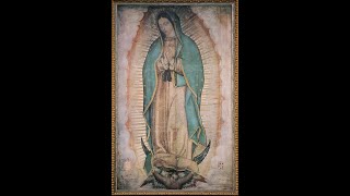 Live Pontifical Mass amp Sisters Renewal Vows Bp Pfeiffer Feast Of Our Lady Of Guadalupe Dec 12 24 [upl. by Elletsyrk18]