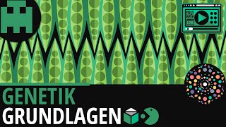 Genetik Grundlagen │Biologie Lernvideo Learning Level Up [upl. by Bakeman]