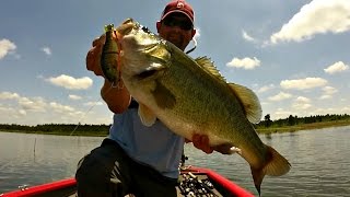 9 lb 8 oz Bass Caught on the Jackall Gantarel Jr  Swimbait Bass Fishing [upl. by Yerggoeg]