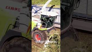 Chopping Corn Silage [upl. by Eidassac762]