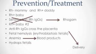 Rh Disease  USMLE Step 2 Review [upl. by Finstad]