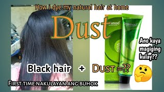 BREMOD HAIR COLOR  DUST  HAIR COLORING  HOW I DYE MY NATURAL HAIR [upl. by Cyrie]