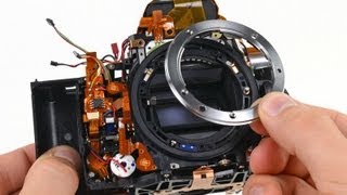 Nikon D600 Teardown [upl. by Anaes987]