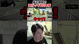 【タルコフ】日本語を話す韓国人野良に笑うKH shorts [upl. by Nytsuj331]