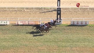 Noticias Celebrado en Dos Hermanas el premio Real Sdad de Carreras de Caballos de Sanlúcar [upl. by Krutz926]