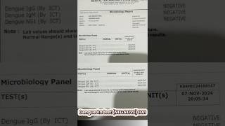 Dengue Test NEGATIVE hai [upl. by Zoara982]