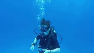 Clips from our SCUBA Dive [upl. by Drhacir759]