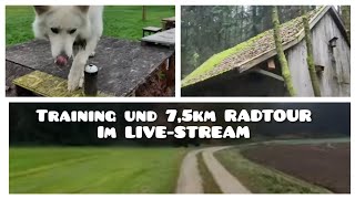 LIVESTREAM  SCHWEIZER SCHÄFERHUND CHARLIE in ACTION [upl. by Daph782]