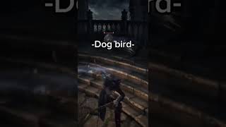 Dog bird bird dog bloodborne dogbird birddog videogames games fyp fypシ゚viral viralvideo [upl. by Ailimac]