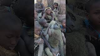 We catched baboon with hadza today wildlife hunting shortsfeed [upl. by Bronk]