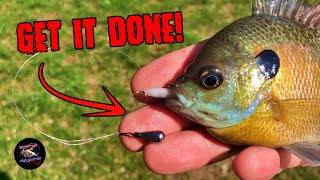 How to Make the Drop Shot Rig  Drop Shot Fishing for Bluegill [upl. by Aissac]