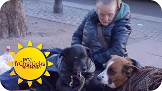 OBDACHLOSE als HUNDEHÄLTER TIERQUÄLEREI oder VORZEIGEBESITZER  SAT1 Frühstücksfernsehen  TV [upl. by Editha]