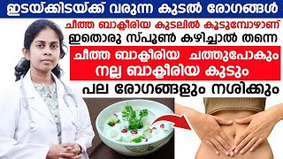 പല രോഗങ്ങൾക്കും കാരണം കുടലിനുണ്ടാകുന്ന പ്രശ്നങ്ങളാണ്  ചീത്ത ബാക്ടീരിയകൾ നശിക്കാൻ ഇതൊരു സ്പൂൺ മതി [upl. by Peer]