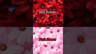 Red flower🌹❤️vs pink flower 🌷💖gown👗heels👠nail💅lipstick💄watch⌚ring💍cake🎂shortsviral [upl. by Oretna]