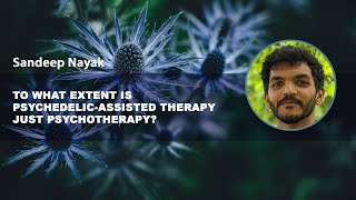 To what extent is psychedelicassisted therapy just psychotherapy – Sandeep Nayak [upl. by Rimat324]