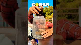 Gobar gas experiment crazyxyz science amazingfacts youtubeshorts chemistry jiya alvi [upl. by Lymn]