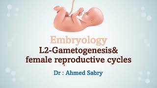 Embryology lecture 2  gametogenesis and female reproductive cycles [upl. by Cheyney]