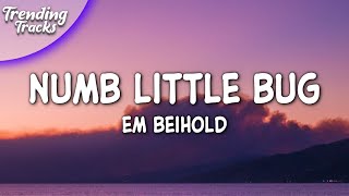 Em Beihold  Numb Little Bug Lyrics [upl. by Eita]